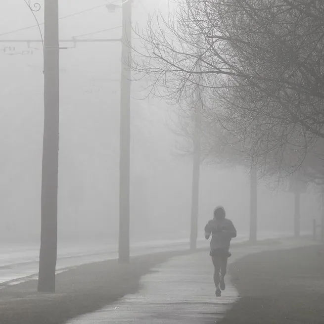 The Runner